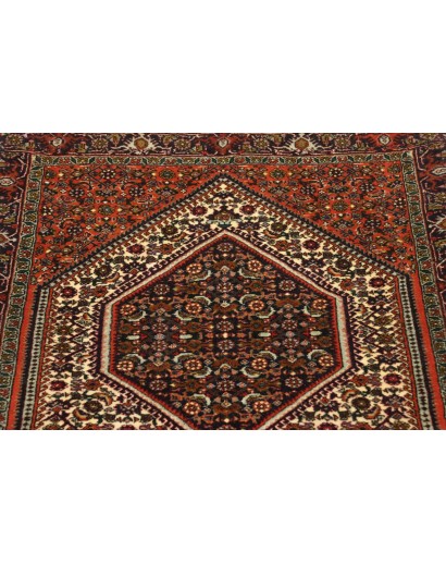 Tappeto Bidjar Persia verde giallo 76x211