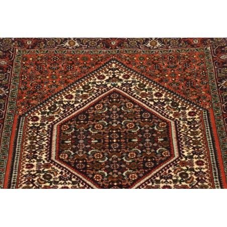 Tappeto Bidjar Persia verde giallo 76x211