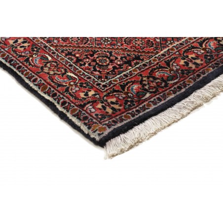 Tappeto Bidjar Persia marrone giallo 77x220