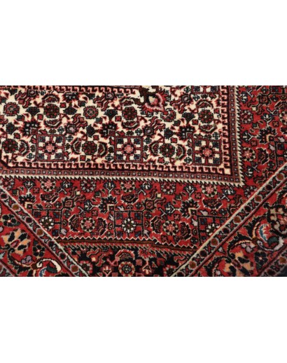 Tappeto Bidjar Persia marrone giallo 77x220