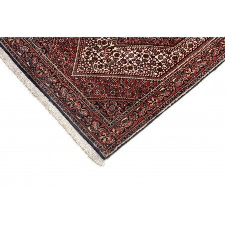 Tappeto Bidjar Persia marrone giallo 77x220