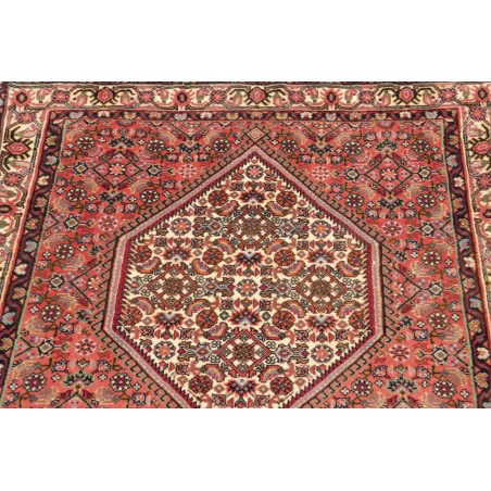 Tappeto Bidjar Persia rosso marrone 80x215