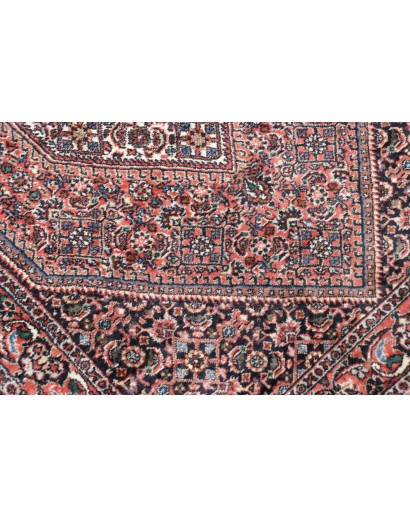 Tappeto Bidjar Persia azzurro verde 74x249