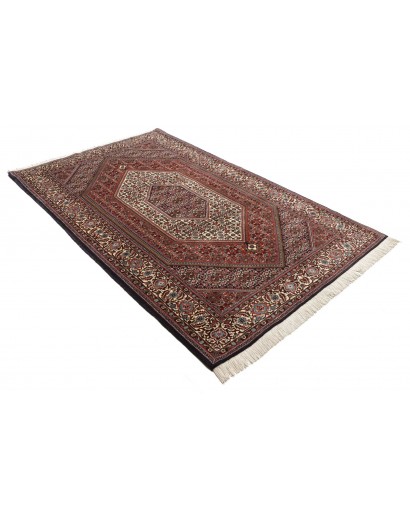 Tappeto Bidjar Persia verde azzurro 140x228