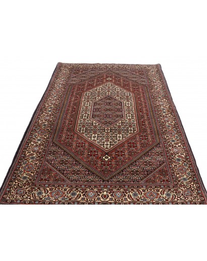 Tappeto Bidjar Persia verde azzurro 140x228