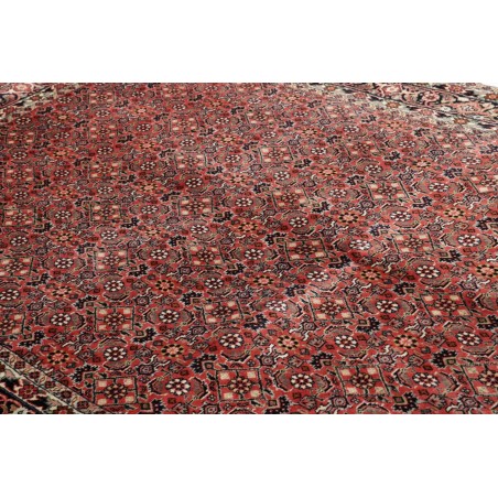 Tappeto Bidjar Persia rosso grigio 130x205