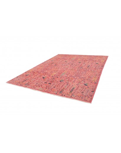 Tappeto Shahi Fine Pakistan marrone arancione 250x310