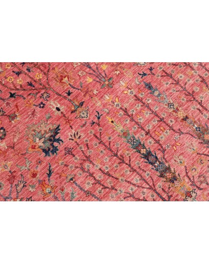 Tappeto Shahi Fine Pakistan marrone arancione 250x310