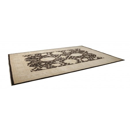Tappeto Zigler Fine Pakistan marrone grigio 302x409
