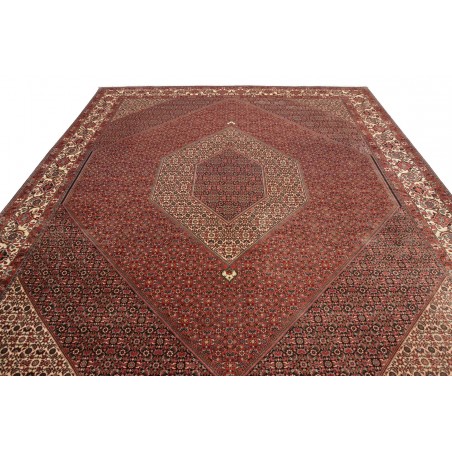 Tappeto Bidjar Persia marrone blu 296x390