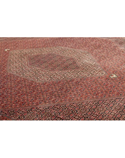 Tappeto Bidjar Persia marrone blu 296x390