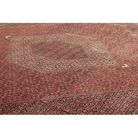 Tappeto Bidjar Persia marrone blu 296x390