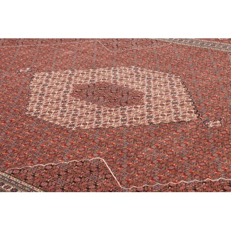 Tappeto Sarab Fine Persia marrone 265x355