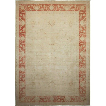 Tappeto Zigler Fine Pakistan marrone 249x341