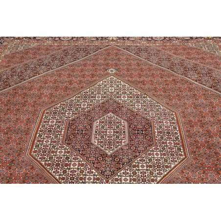Tappeto Bidjar Persia azzurro bianco 255x347