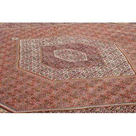 Tappeto Bidjar Persia azzurro bianco 255x347