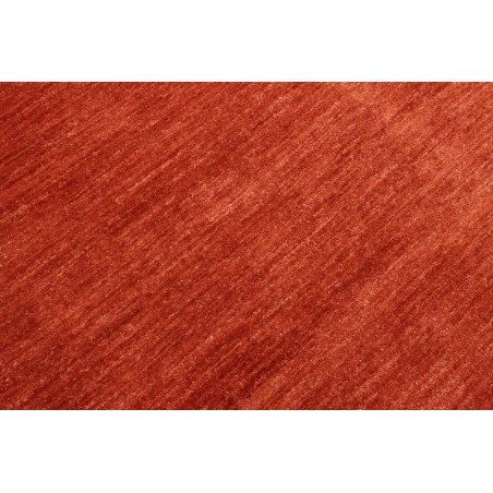 Tappeto Shayan Pakistan marrone 152x202