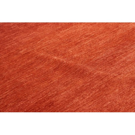 Tappeto Shayan Pakistan marrone 152x202