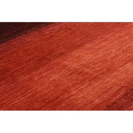 Tappeto Shayan Pakistan marrone 172x242