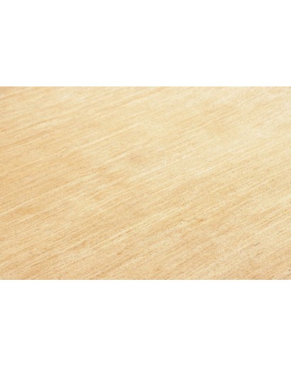 Tappeto Shayan Pakistan marrone 173x239