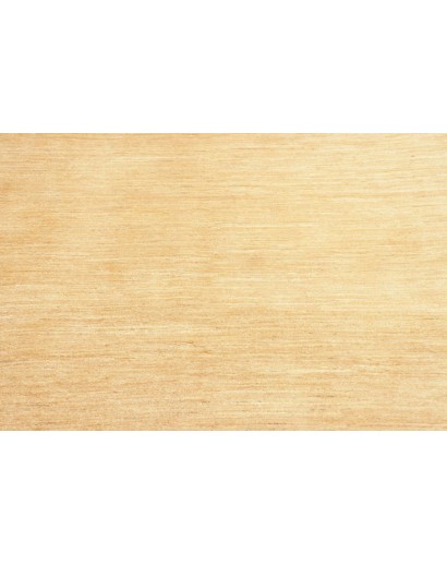 Tappeto Shayan Pakistan marrone 173x239