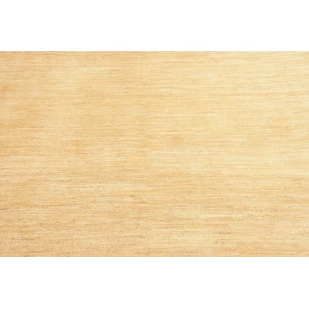 Tappeto Shayan Pakistan marrone 173x239