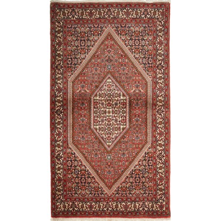 Tappeto Bidjar Persia marrone grigio 110x166