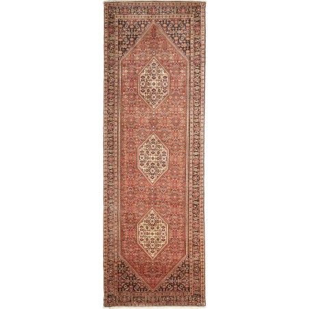 Tappeto Bidjar Persia marrone 93x290