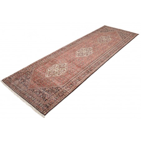 Tappeto Bidjar Persia marrone 93x290