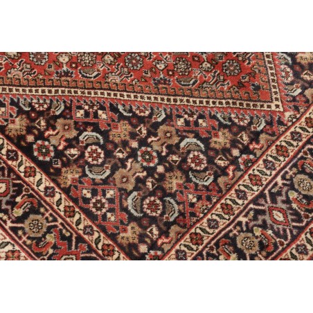 Tappeto Bidjar Persia marrone 93x290