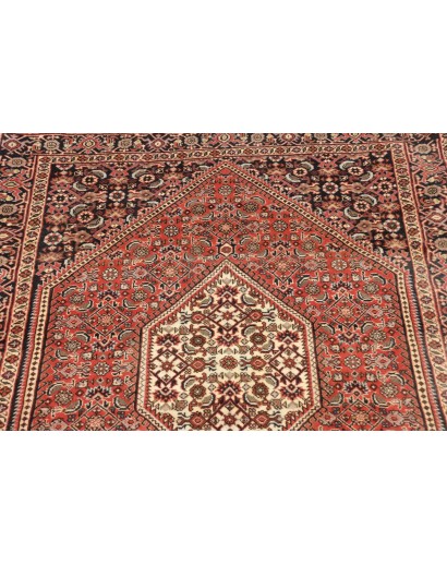 Tappeto Bidjar Persia marrone 93x290
