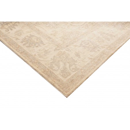 Tappeto Zigler Fine Pakistan marrone bianco 304x424