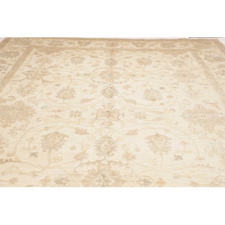 Tappeto Zigler Fine Pakistan marrone bianco 304x424