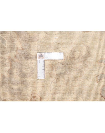 Tappeto Zigler Fine Pakistan marrone bianco 304x424