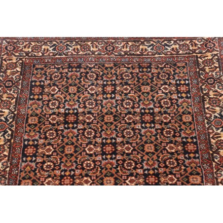 Tappeto Bidjar Persia verde grigio 70x290