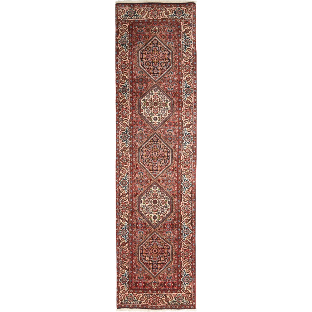 Tappeto Zandjan Persia marrone grigio 66x260