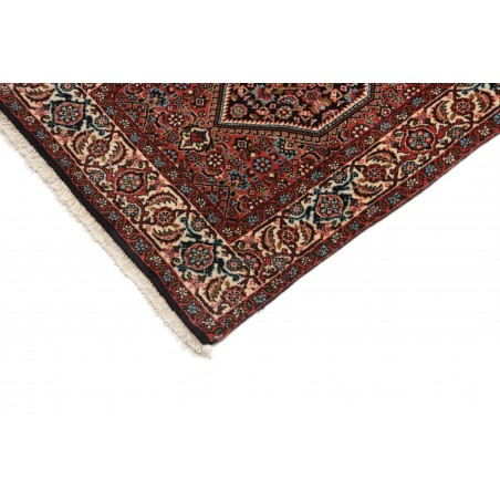 Tappeto Zandjan Persia marrone grigio 66x260