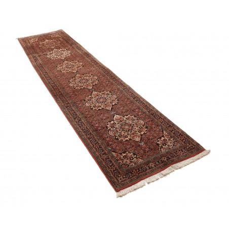 Tappeto Bidjar Persia marrone giallo 77x325