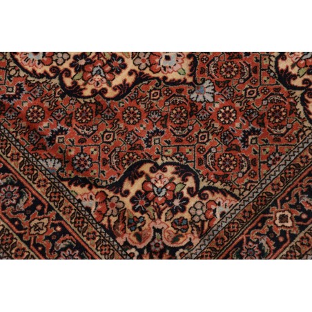 Tappeto Bidjar Persia marrone giallo 77x325