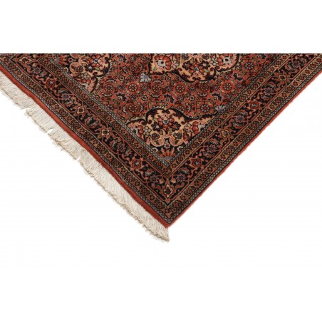 Tappeto Bidjar Persia marrone giallo 77x325