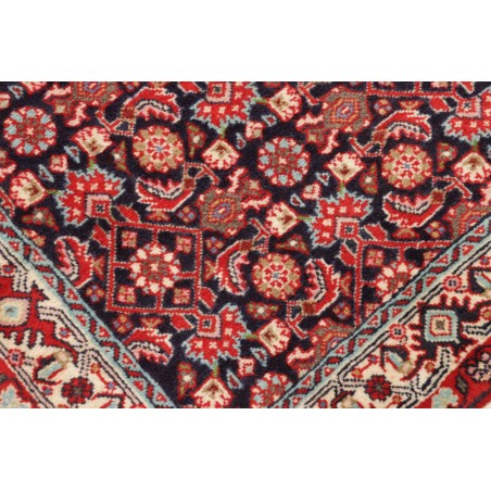 Tappeto Zandjan Persia marrone beige 63x252