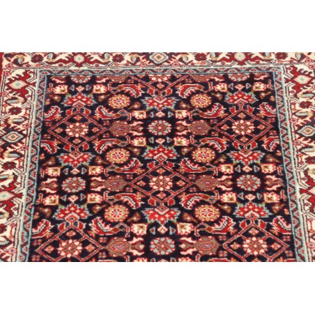 Tappeto Zandjan Persia marrone beige 63x252