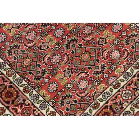 Tappeto Zandjan Persia marrone giallo 64x245