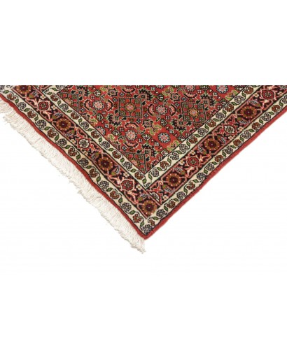 Tappeto Zandjan Persia marrone giallo 64x245