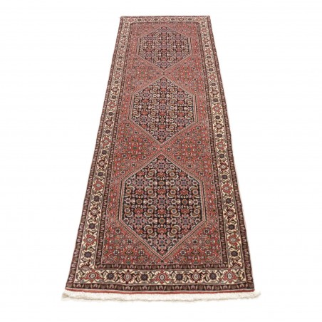 Tappeto Bidjar Persia azzurro marrone 72x251