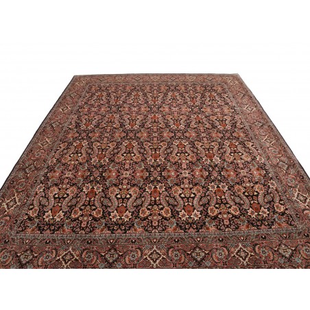 Tappeto Bidjar Persia marrone blu 257x342