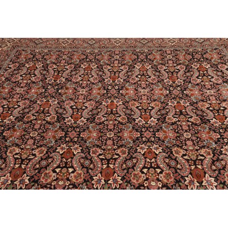 Tappeto Bidjar Persia marrone blu 257x342