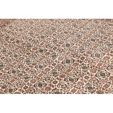 Tappeto Bidjar Persia beige marrone 169x226