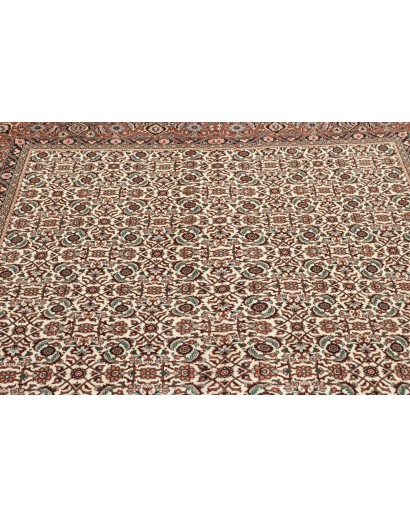 Tappeto Bidjar Persia beige marrone 169x226