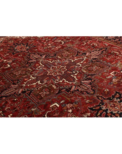 Tappeto Gorawan Persia marrone bianco 253x340